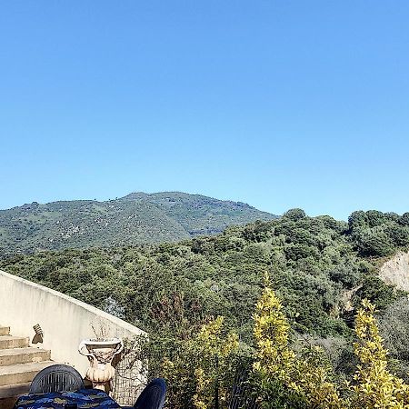 Grand Appartement Spacieux A 5 Min Du Centre Ville Ajaccio  Dış mekan fotoğraf